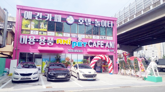 애니펫 매장